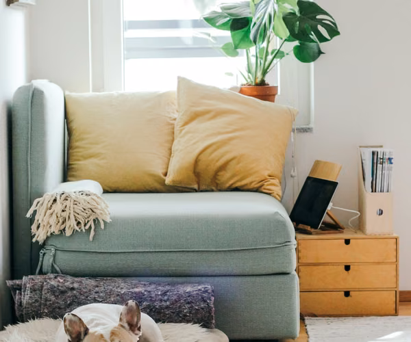 How DVA Cleaning Works in Melbourne